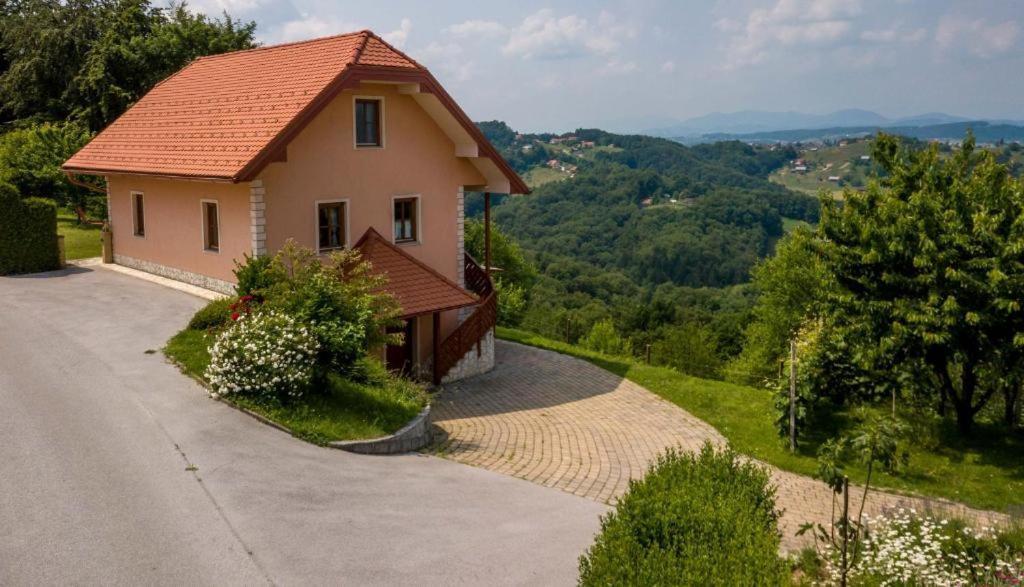 Апартаменты Planinca -Hisa Z Razgledom Smarje pri Jelsah Экстерьер фото
