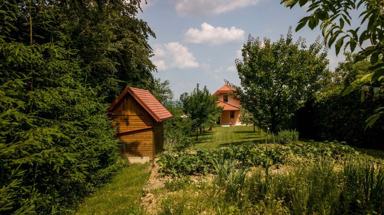 Апартаменты Planinca -Hisa Z Razgledom Smarje pri Jelsah Экстерьер фото