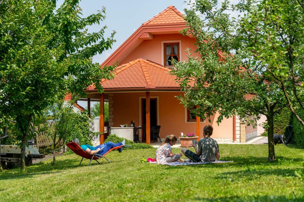 Апартаменты Planinca -Hisa Z Razgledom Smarje pri Jelsah Экстерьер фото